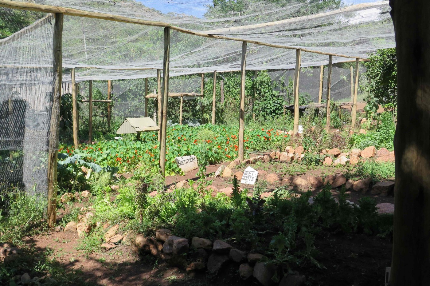 Cottar's 1920 Camp, Masai Mara