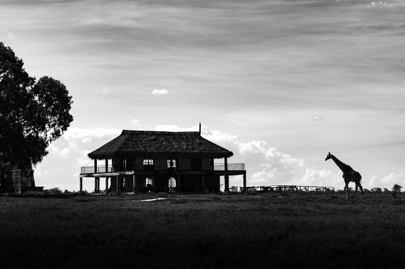 Segera Retreat, Laikipia