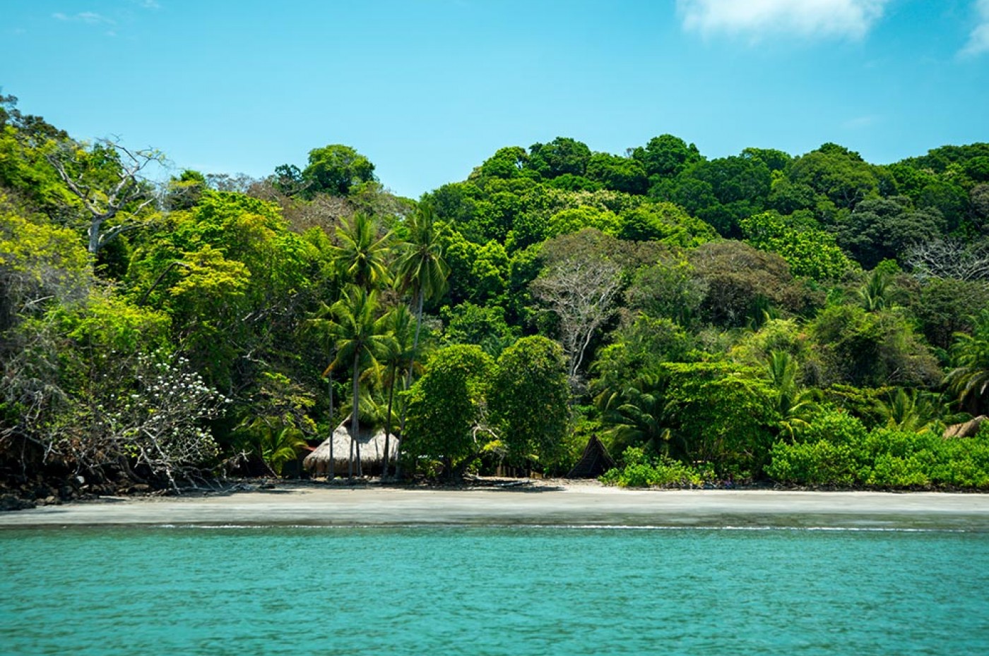 Isla Palenque, Panama