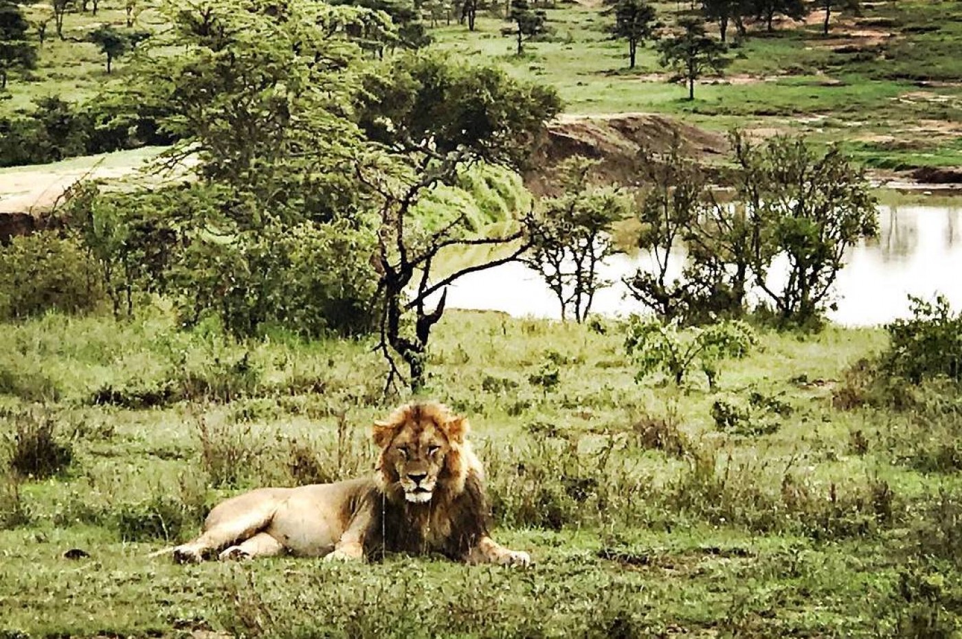 El Karama Lodge, Laikipia, Kenya