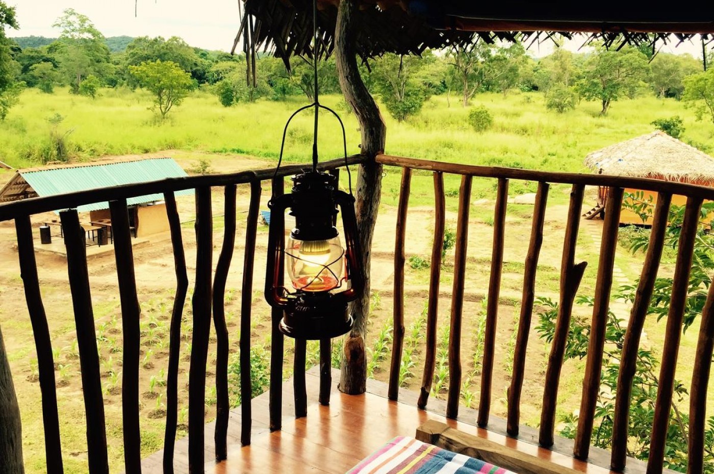 Elephant Watch Hut, Habarana