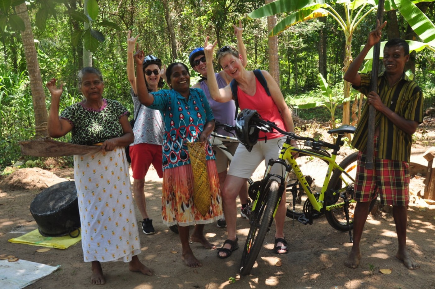 Elephant Watch Hut, Habarana