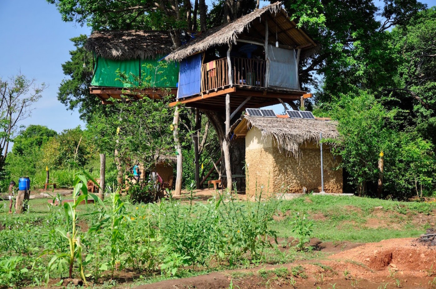 Elephant Watch Hut, Habarana