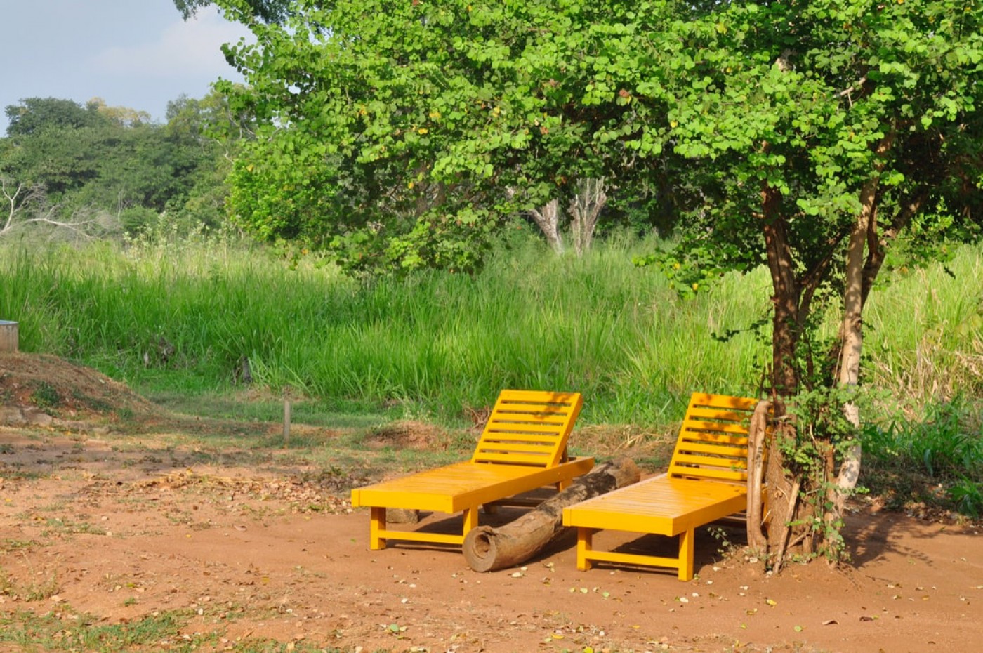Elephant Watch Hut, Habarana