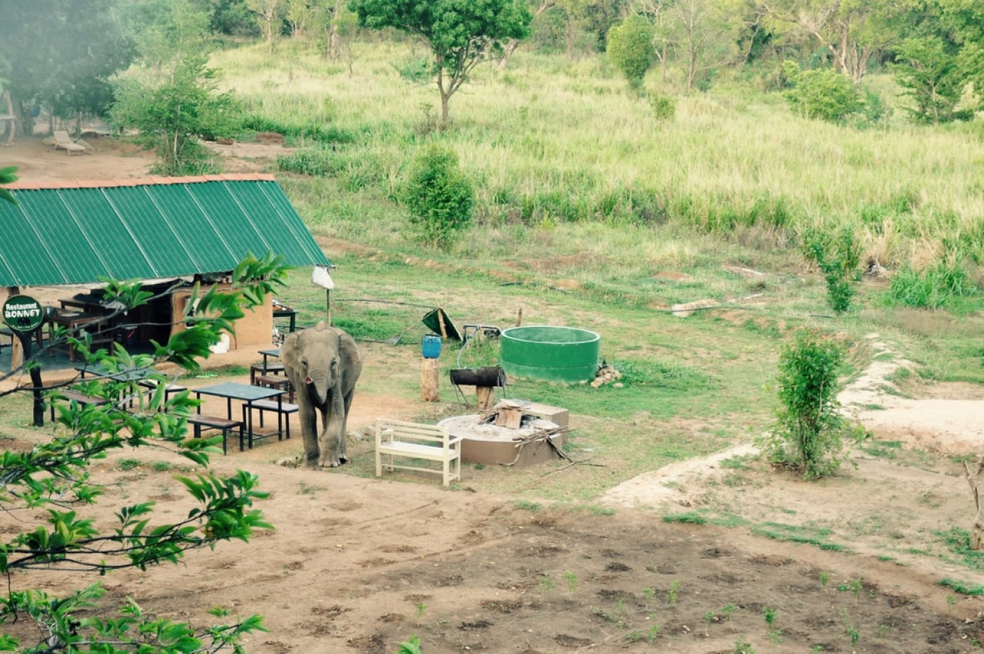 Elephant Watch Hut, Habarana