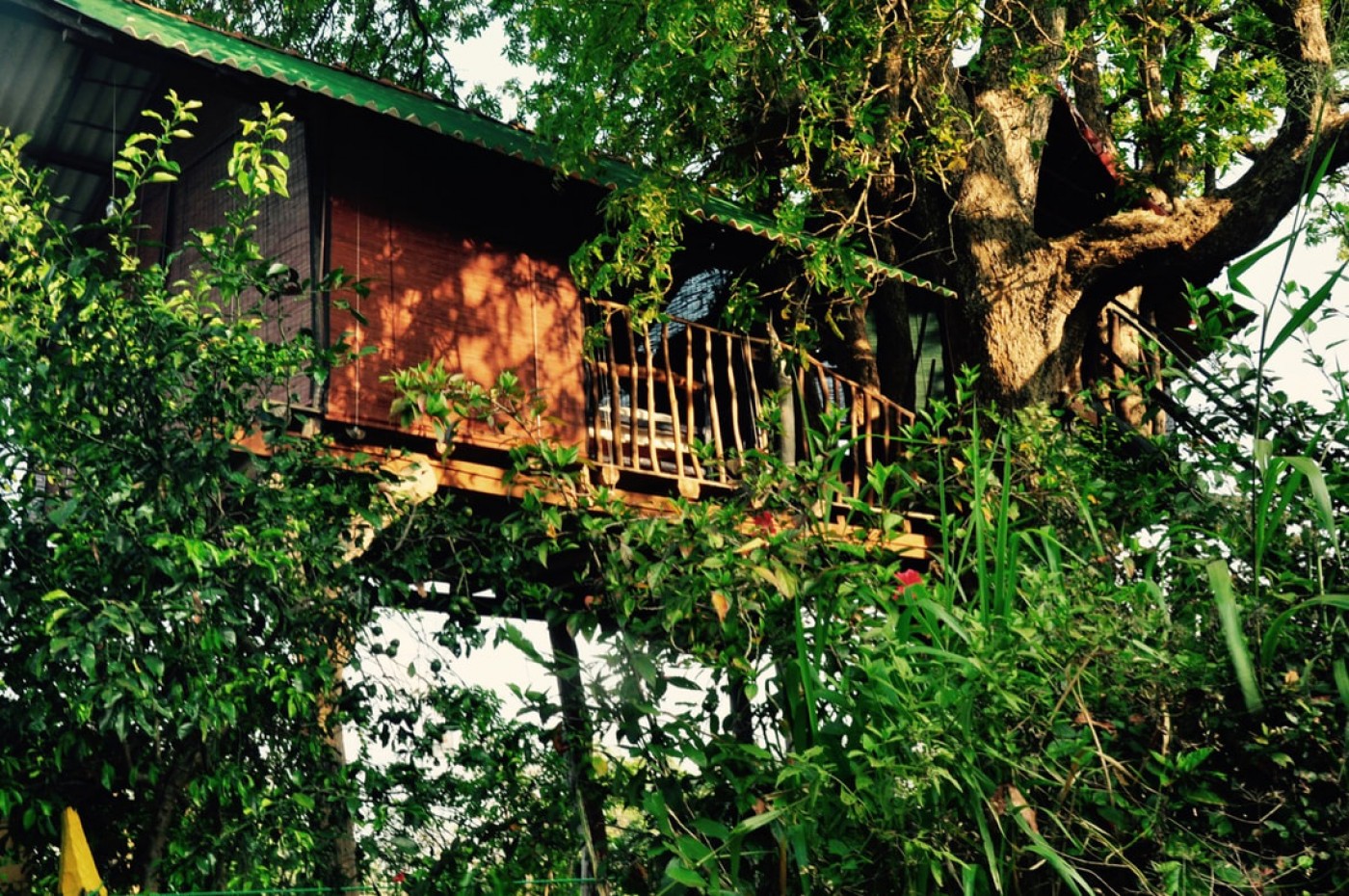 Elephant Watch Hut, Habarana
