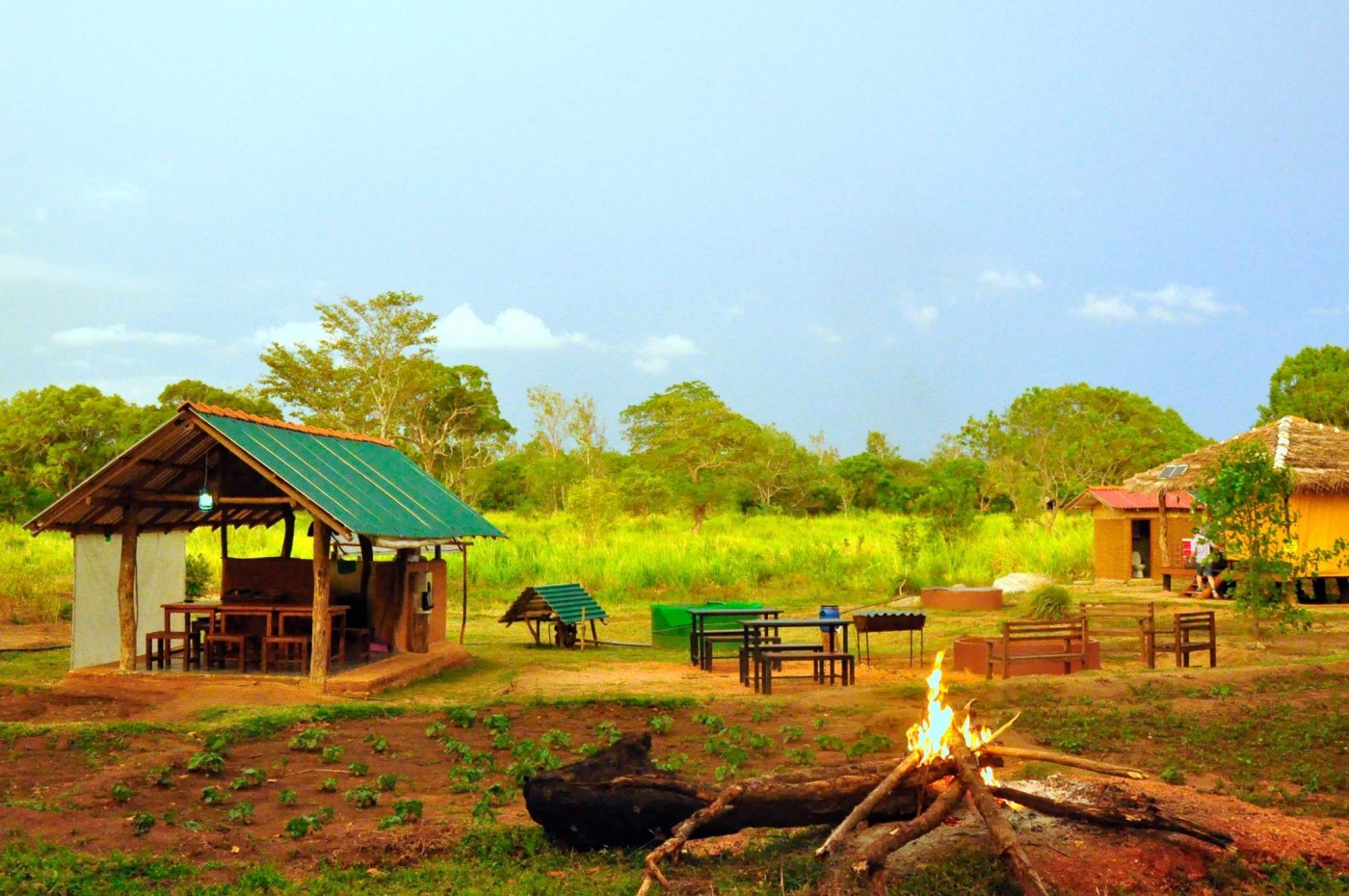 Elephant Watch Hut, Habarana
