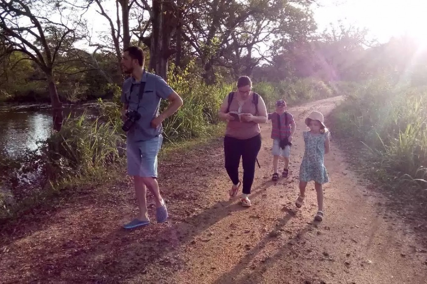 Elephant Watch Hut, Habarana