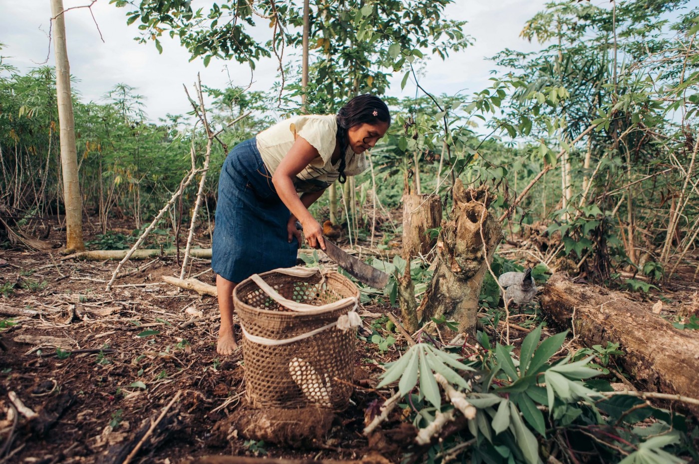 Kapawi Eco Lodge, Amazonas, Ecuador
