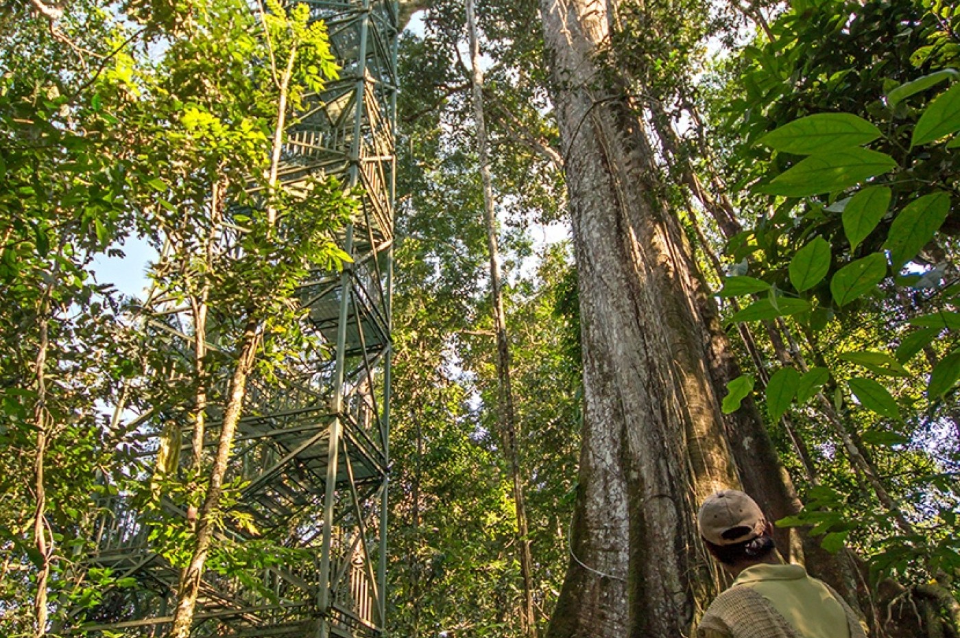 Sani Lodge, Amazonas, Ecuador