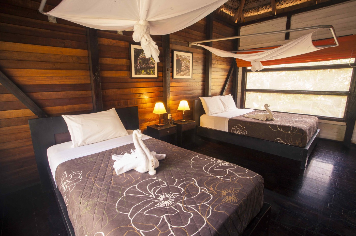 Sani Lodge, Amazonas, Ecuador