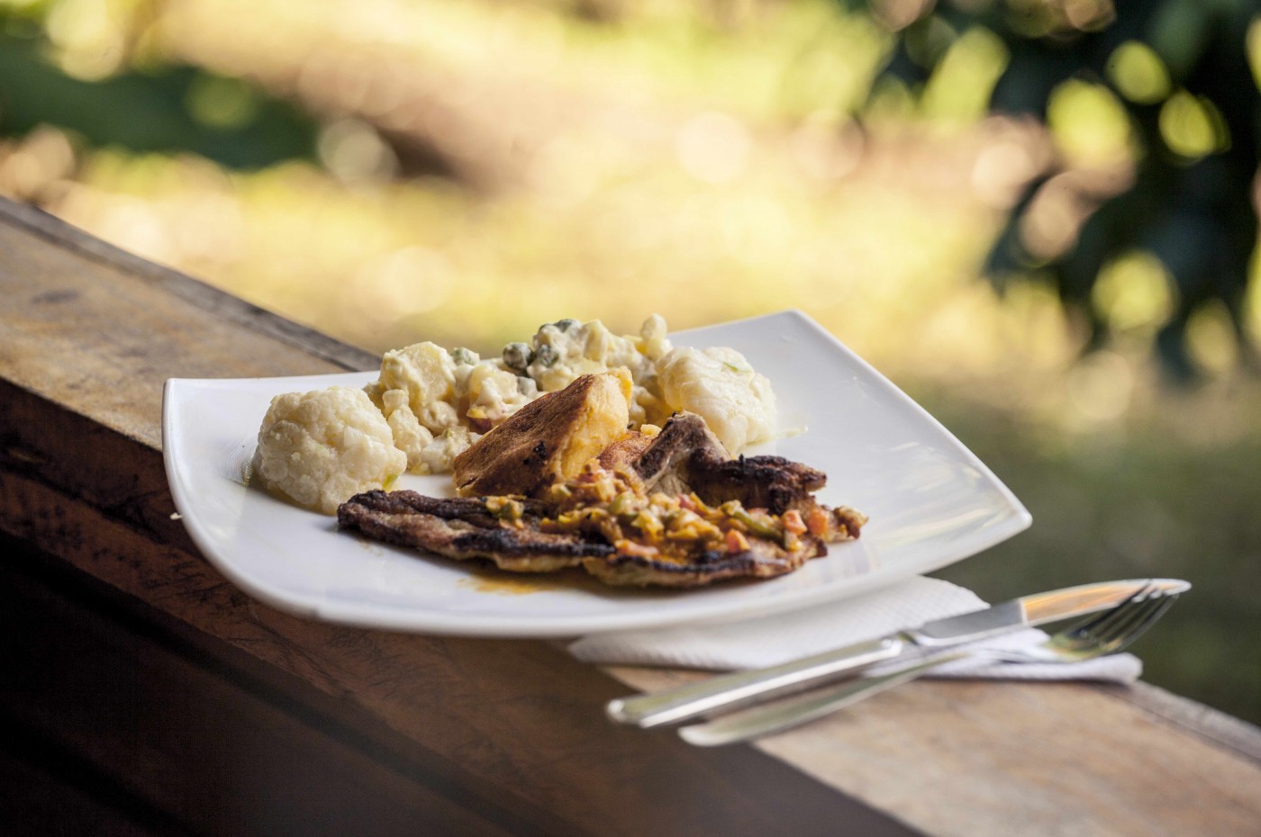 Sani Lodge, Amazonas, Ecuador