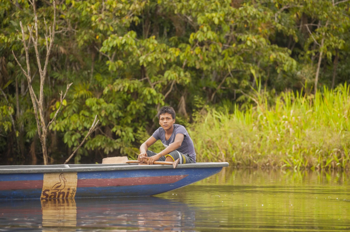 Sani Lodge, Amazonas, Ecuador