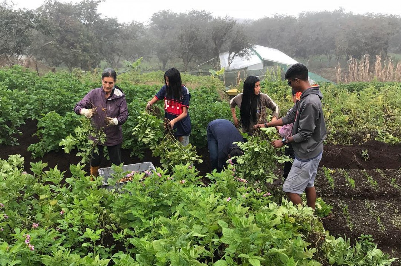 La Casa De Marita, Isabela, Galapagos, Ecuador