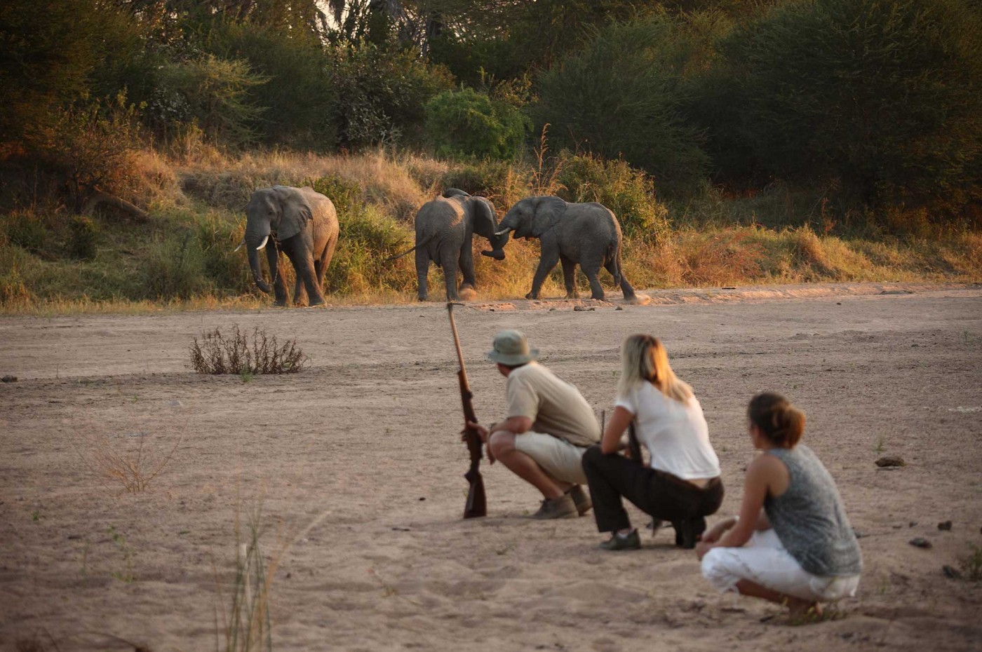 Jongomera, Ruaha, Tanzania