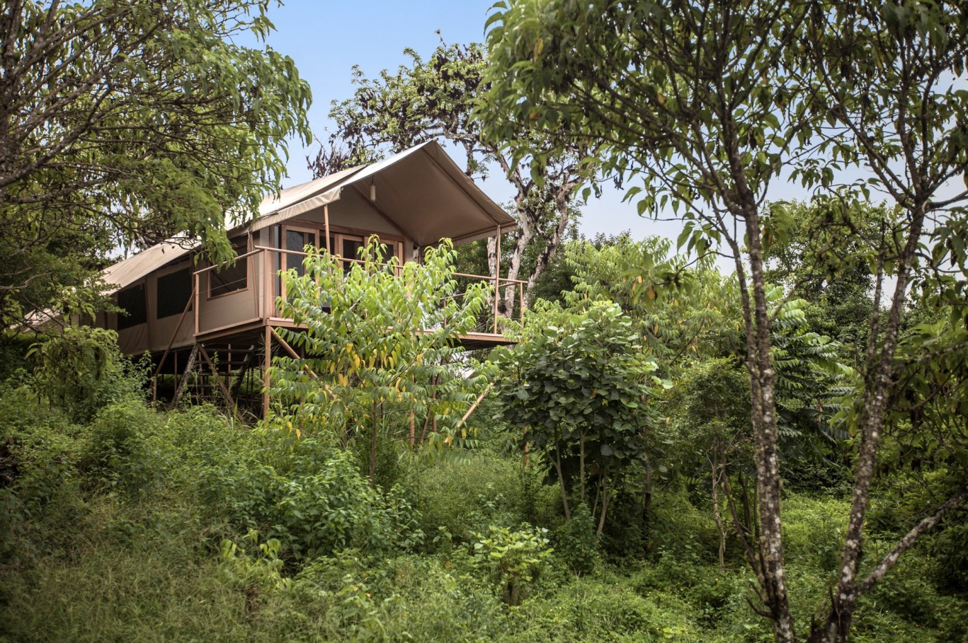 Galapagos Safari Camp, Santa Cruz, Ecuador