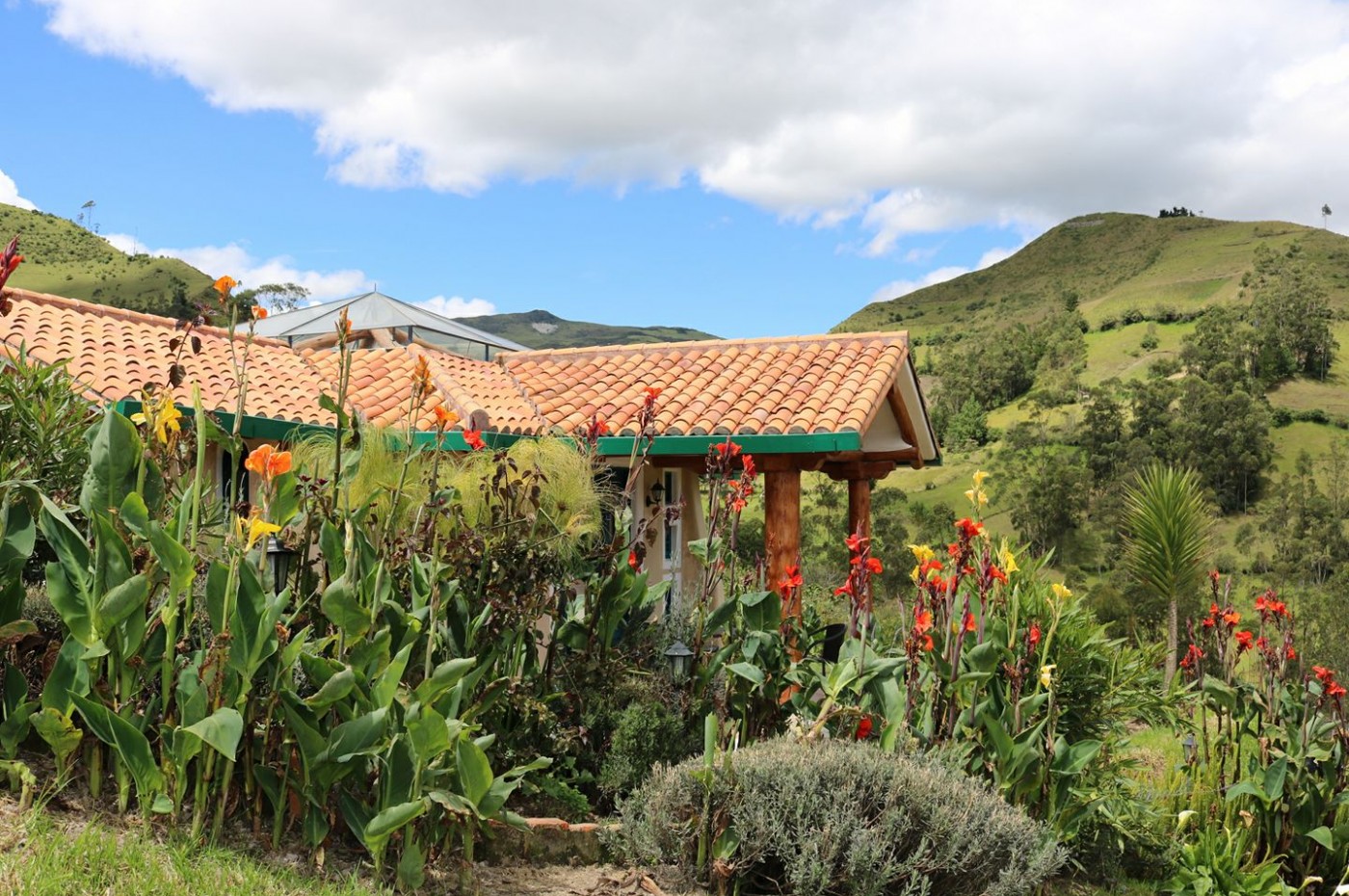 Llu Llu Llama, Ecuador