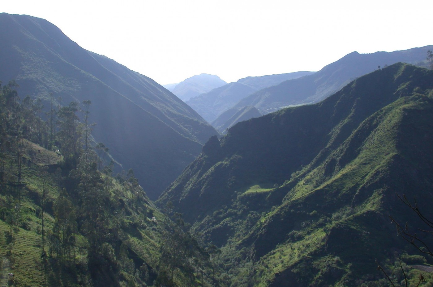 Llu Llu Llama, Ecuador