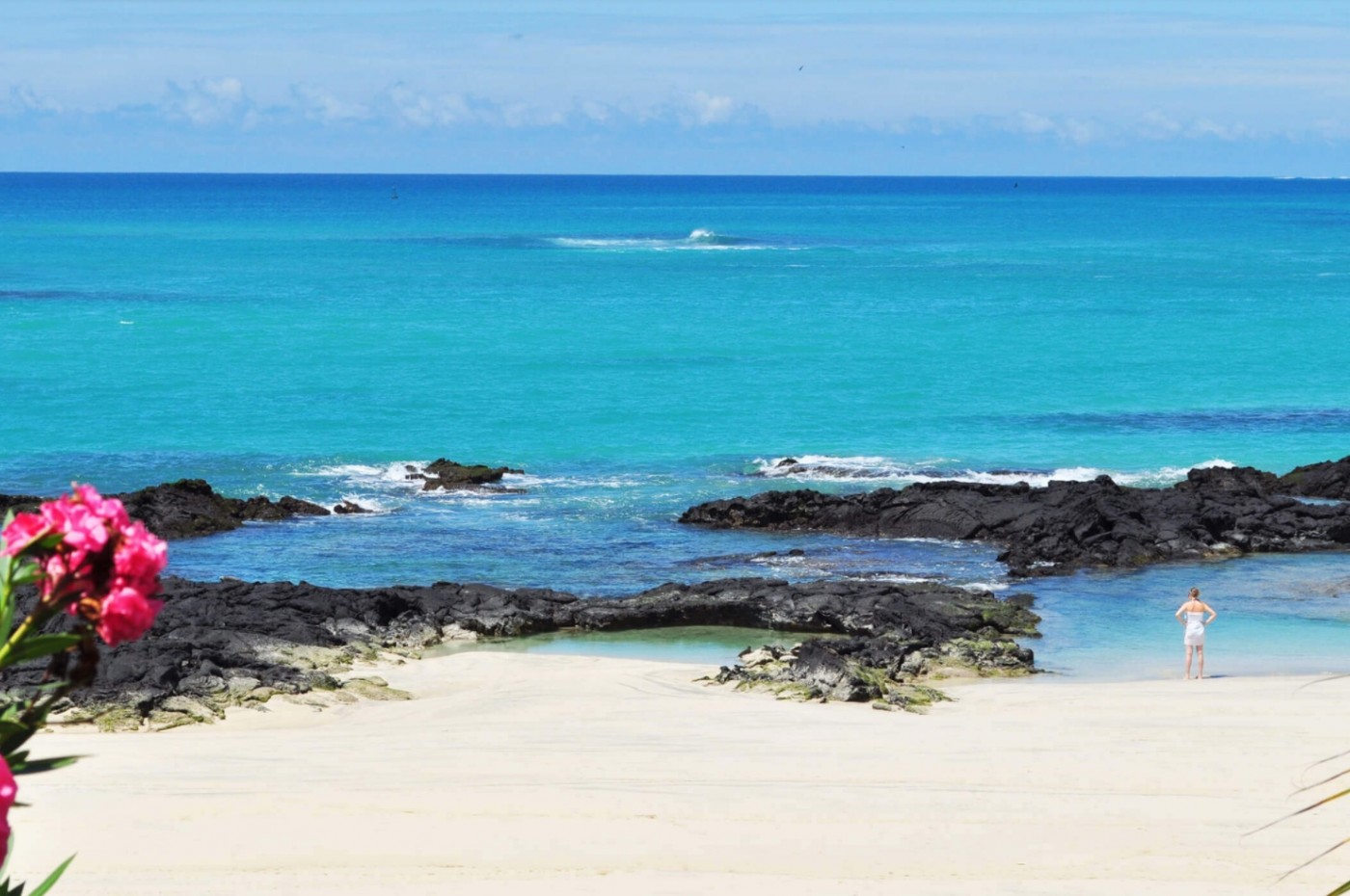 La Casa De Marita, Isabela, Galapagos