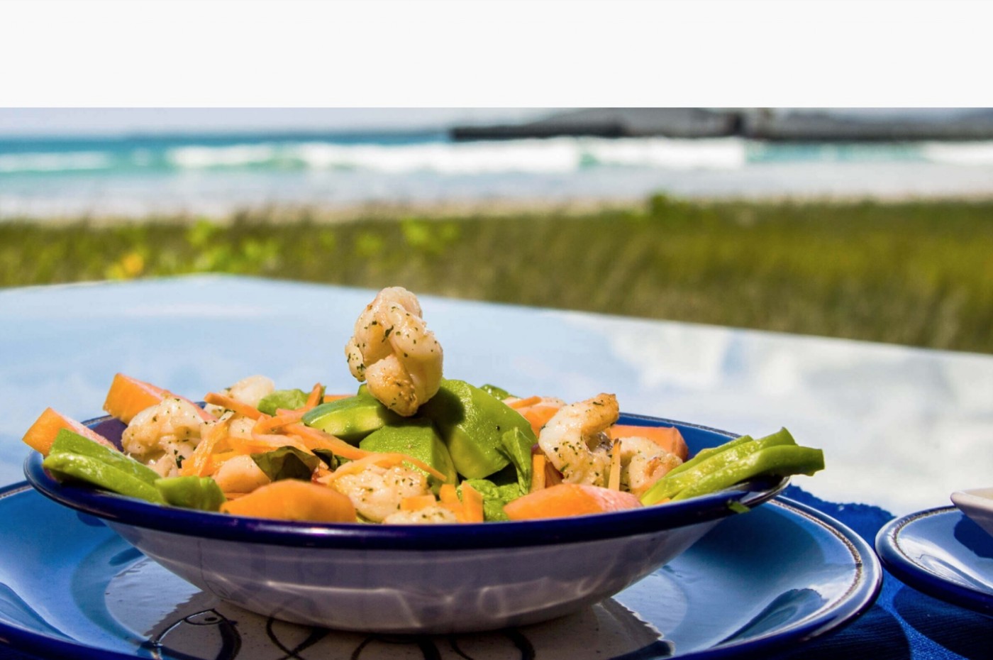 La Casa De Marita, Isabela, Galapagos, Ecuador