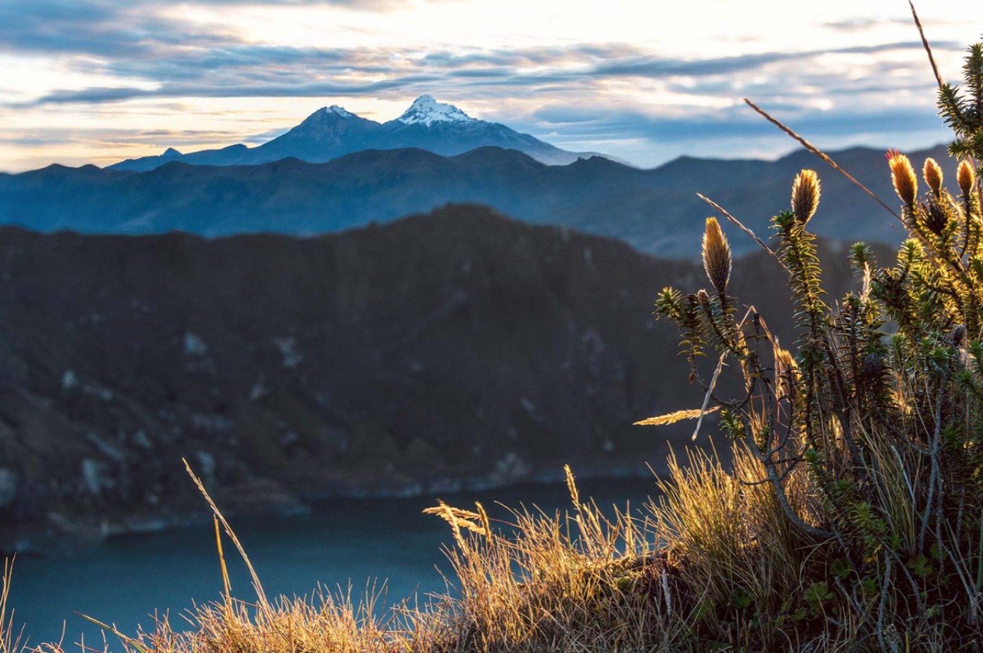 Llu Llu Llama, Ecuador