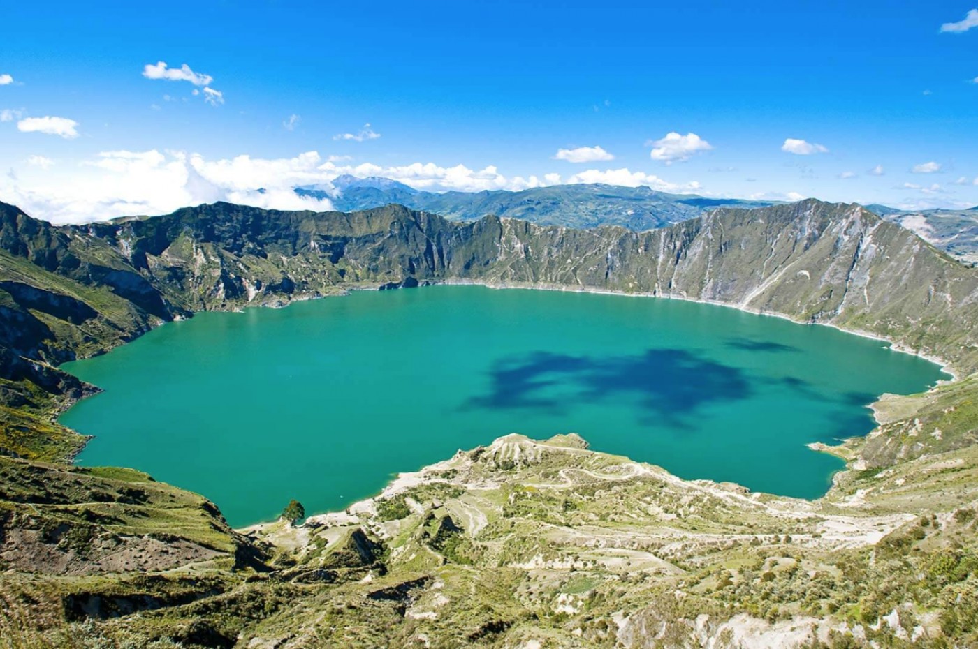 Llu Llu Llama, Ecuador