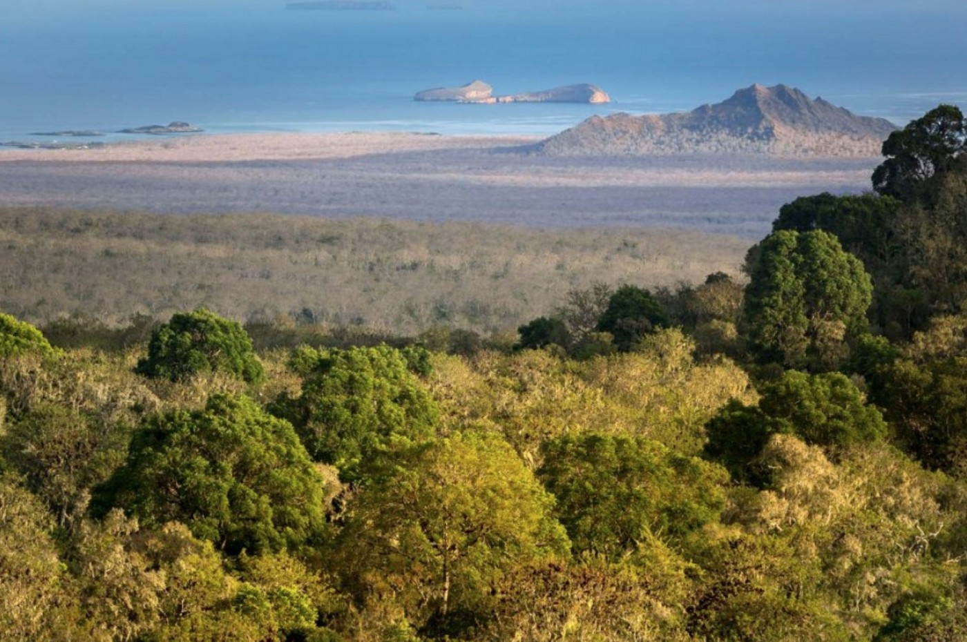 Galapagos Safari Camp, Santa Cruz, Ecuador