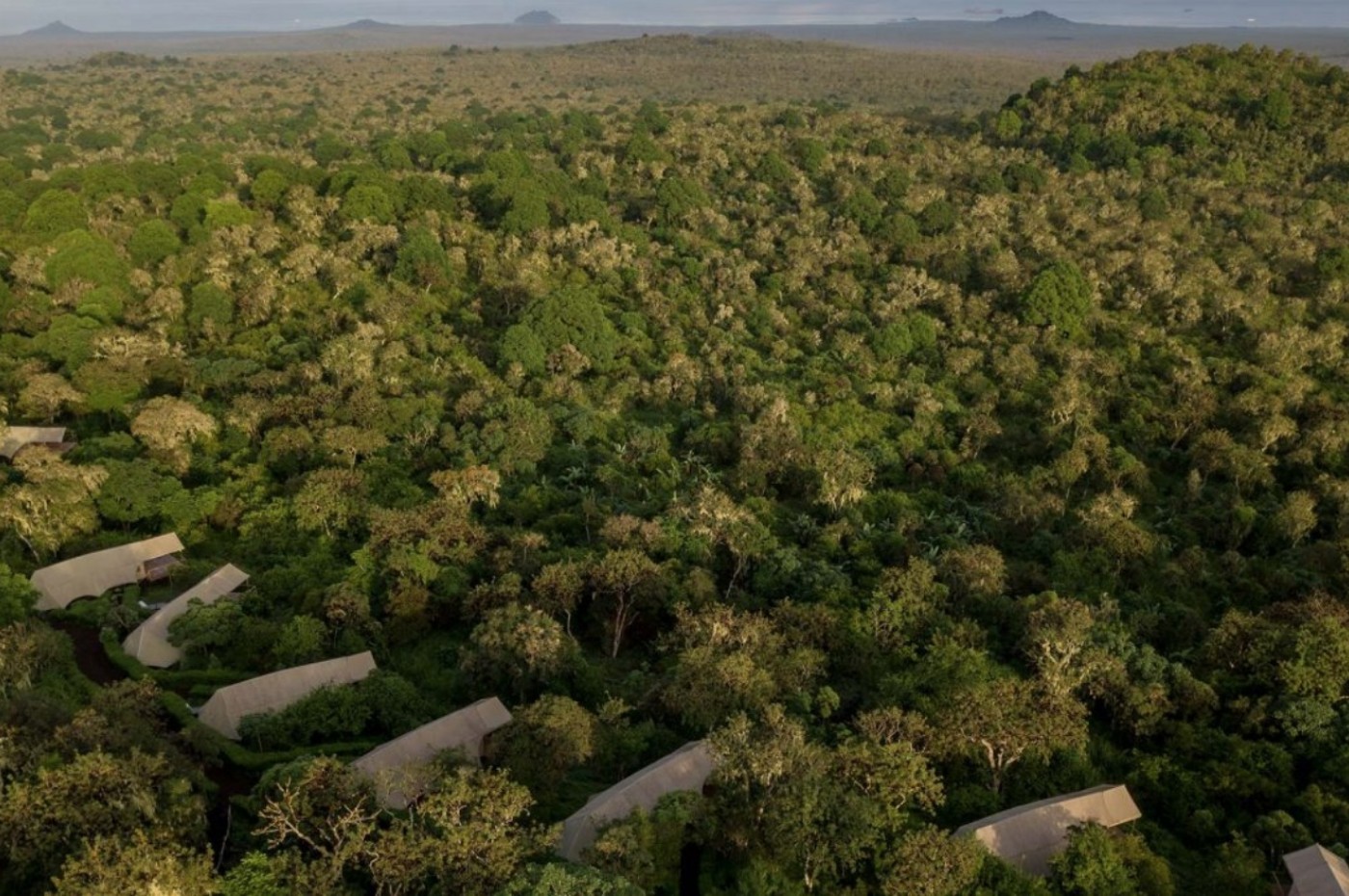 Galapagos Safari Camp, Santa Cruz, Ecuador
