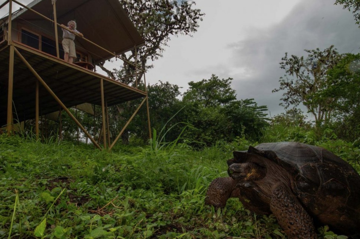 Galapagos Safari Camp, Santa Cruz, Ecuador