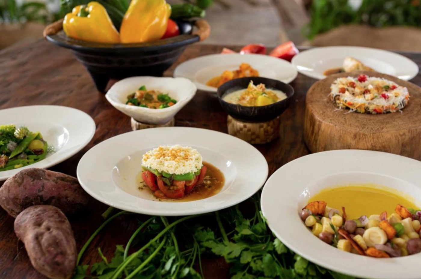 Galapagos Safari Camp, Santa Cruz, Ecuador