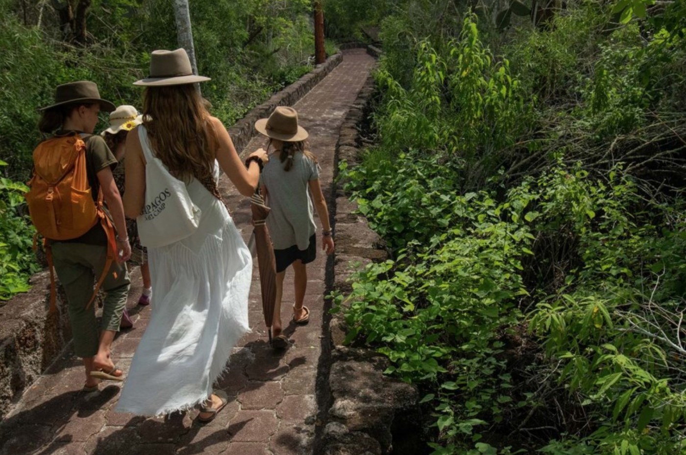 Galapagos Safari Camp, Santa Cruz, Ecuador