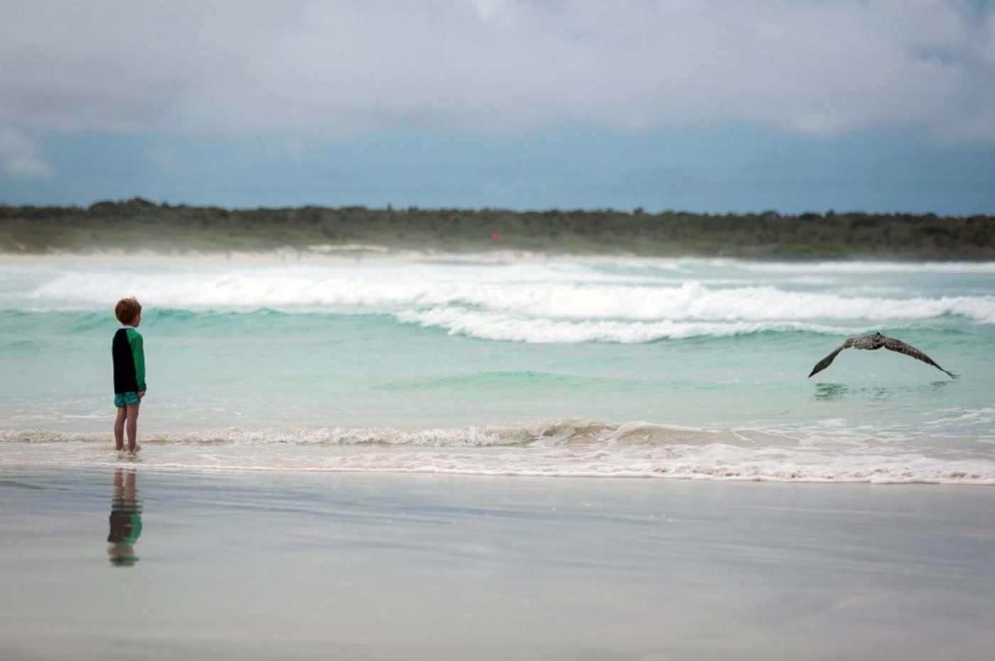 Galapagos Safari Camp, Santa Cruz, Ecuador