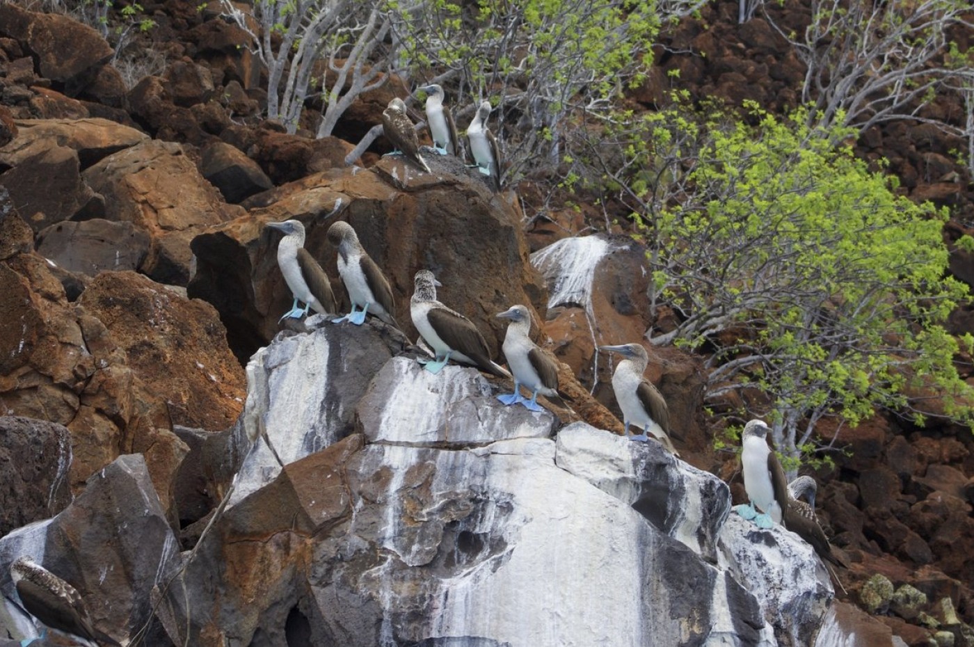 Galapagos, Ecuador