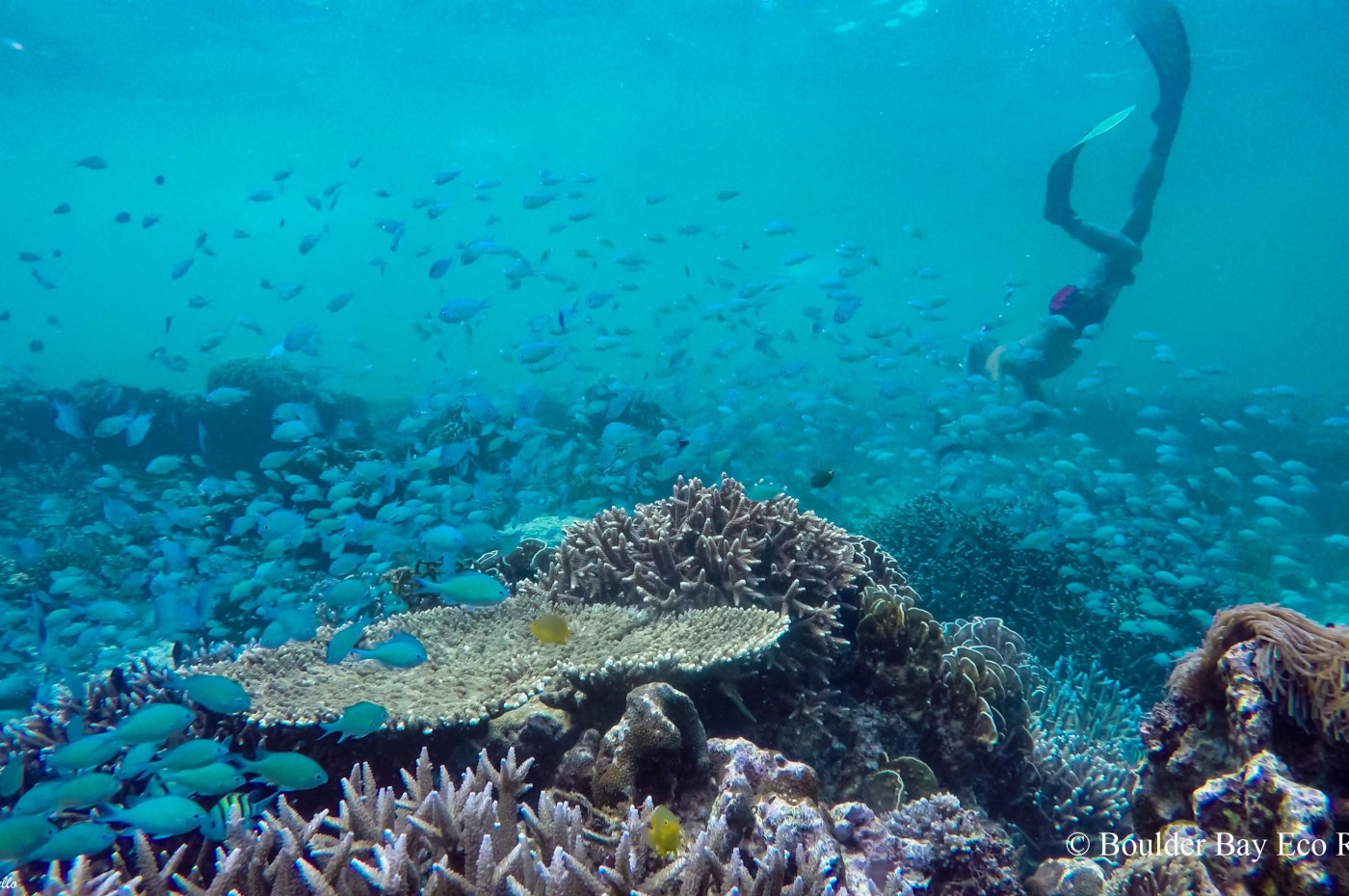 Boulder Bay Eco Resort, Mergui, Myanmar