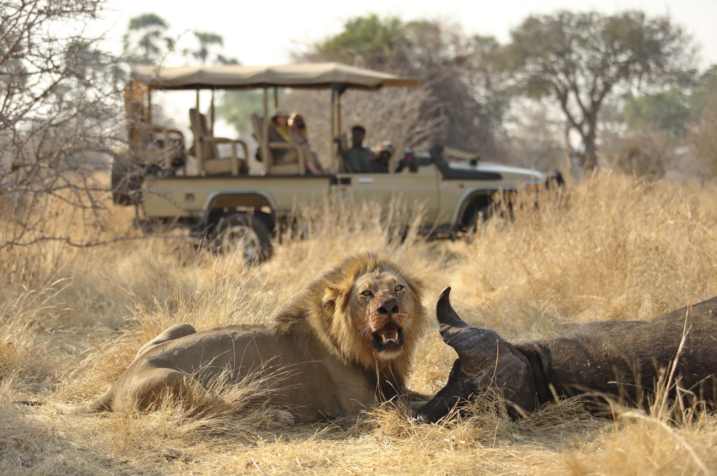 Ikuka Safari Camp, Ruaha National Park, Tanzania