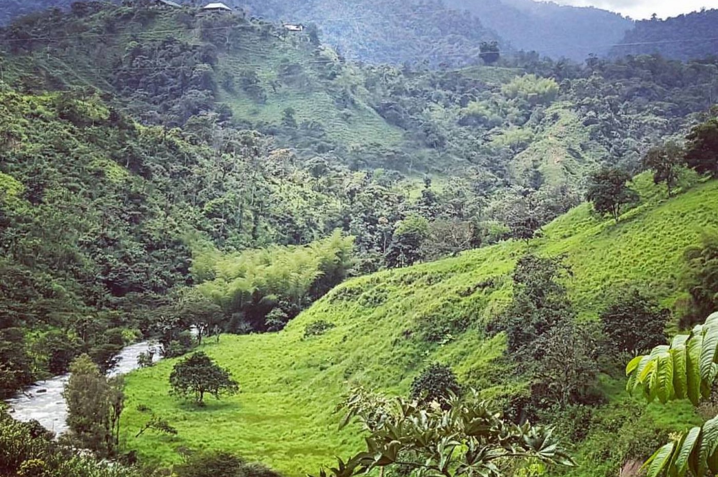 Maquipucuna Reserve and Ecolodge, Ecuador