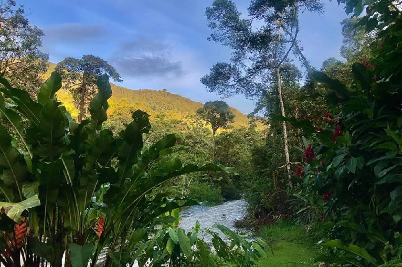 Maquipucuna Reserve and Ecolodge, Ecuador