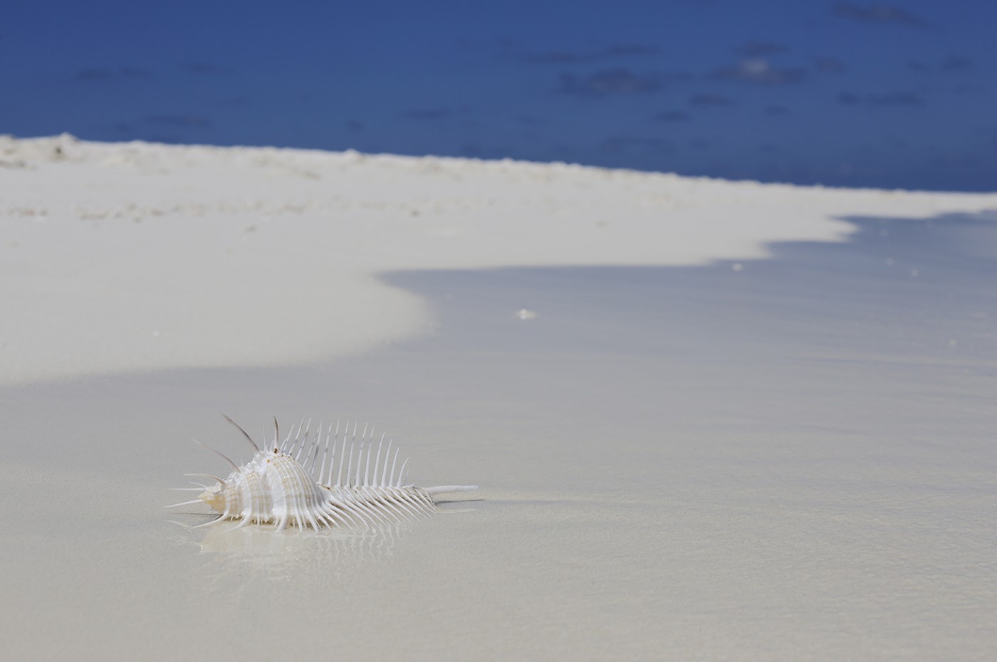 Nika Island Resort, Maldiverne