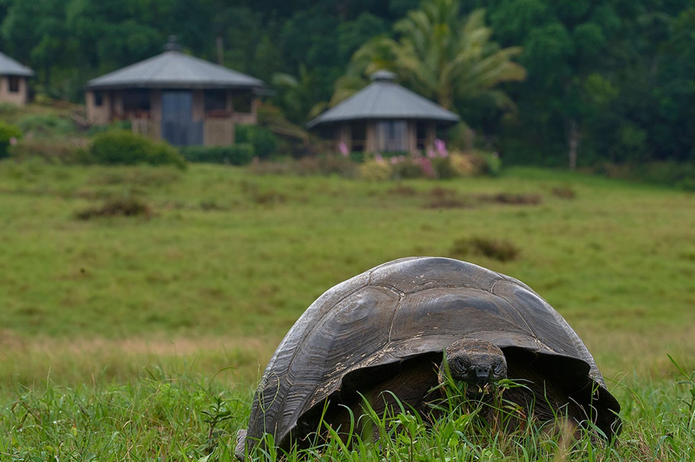 Galapagos Magic Camp, Santa Cruz, Ecuador