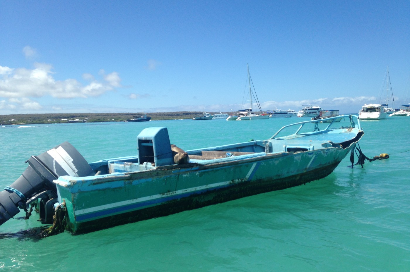 Båd, Galapagos