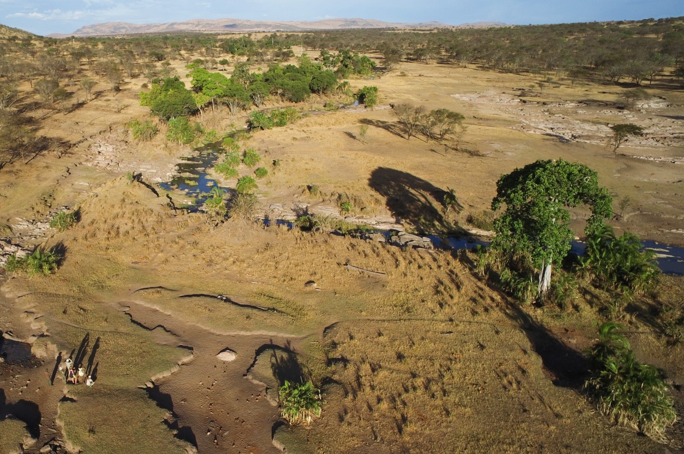 Wayo Serengeti Walking Camp