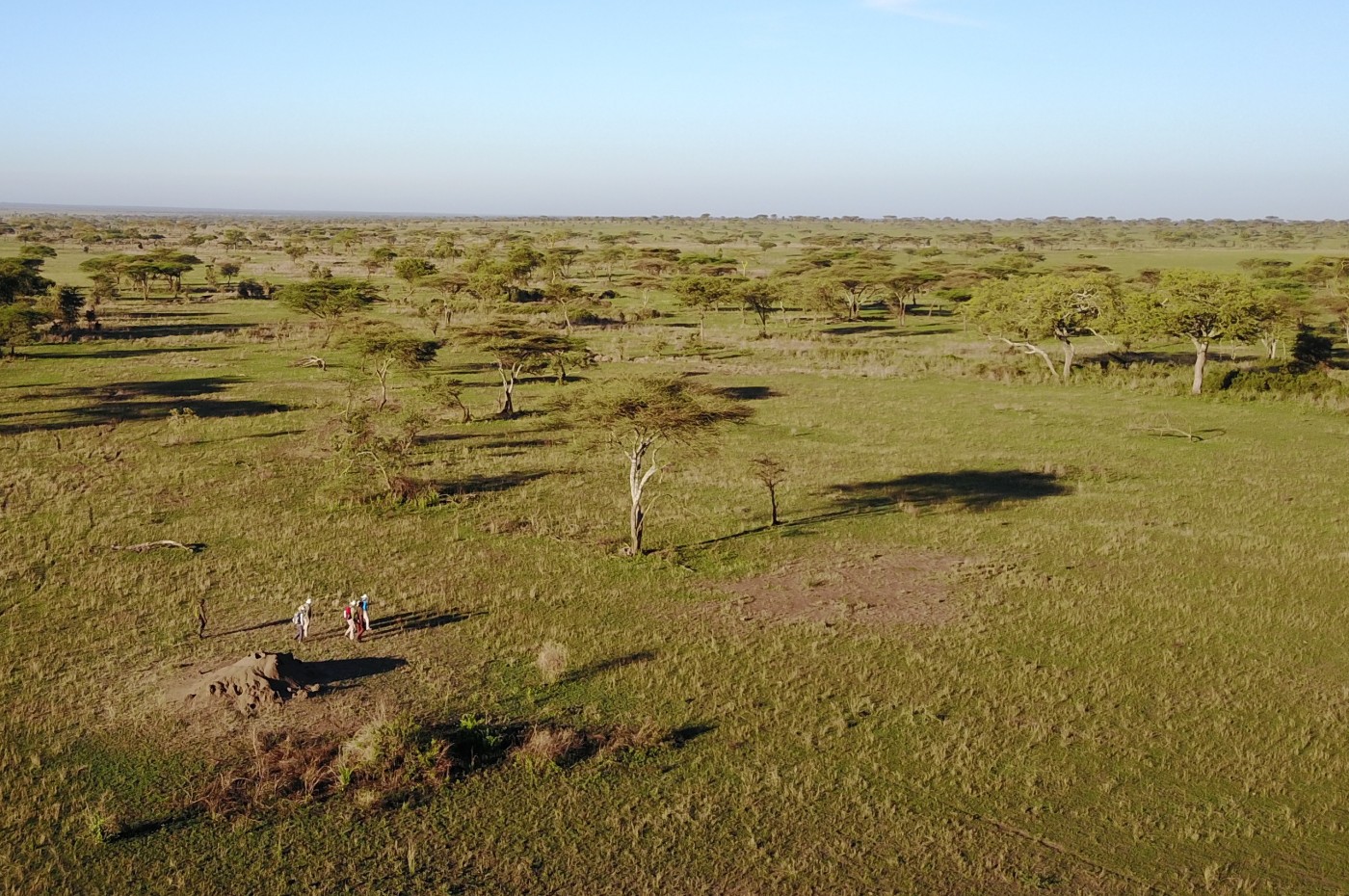 Wayo Serengeti Walking Camp