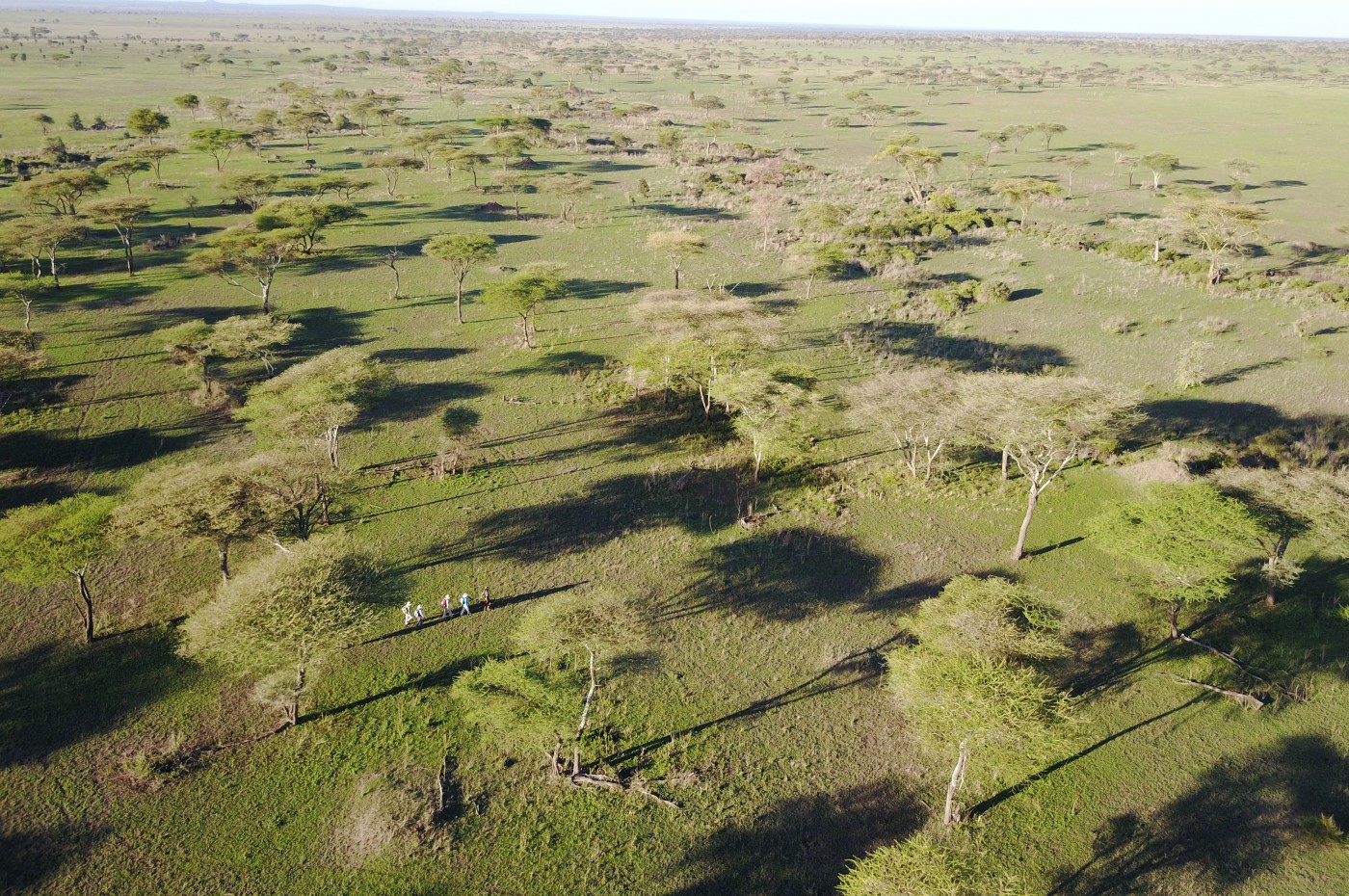 Wayo Serengeti Walking Camp
