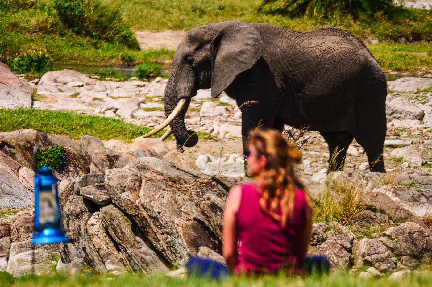 Wayo Serengeti Green Camp, Kogatande