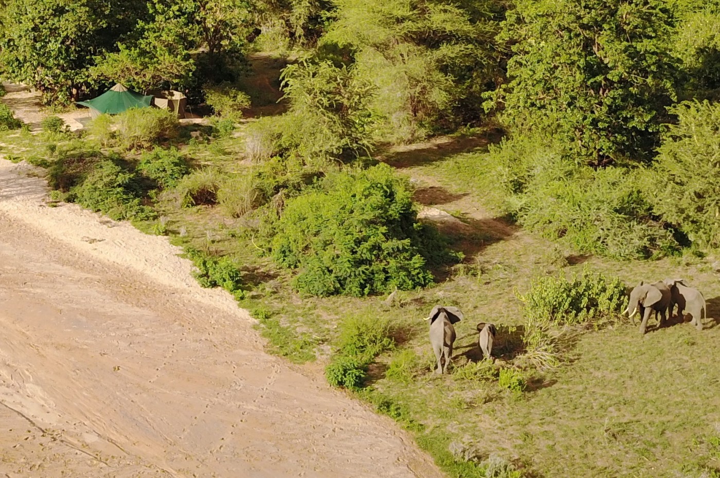 Wayo Manyara Green Camp, Tanzania