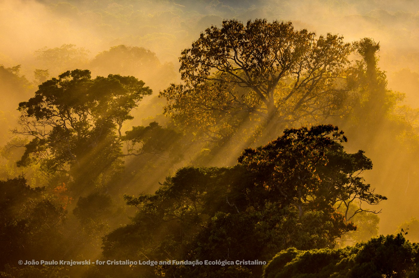 Cristalino Lodge, the Amazon, Brazil