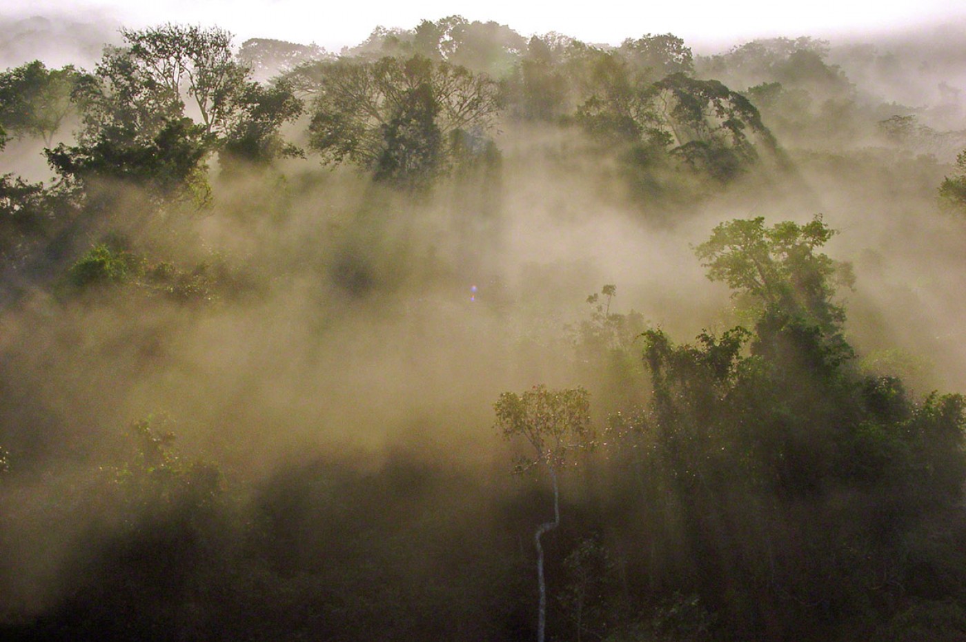 Cristalino Lodge, the Amazon, Brazil