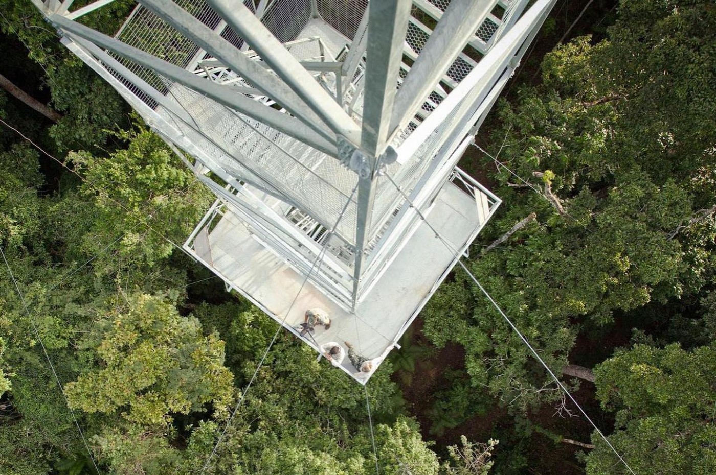 Cristalino Lodge, the Amazon, Brazil
