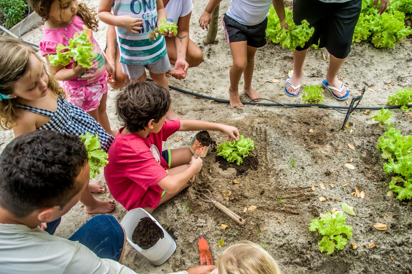 Rancho do Peixe, Jericoacoara
