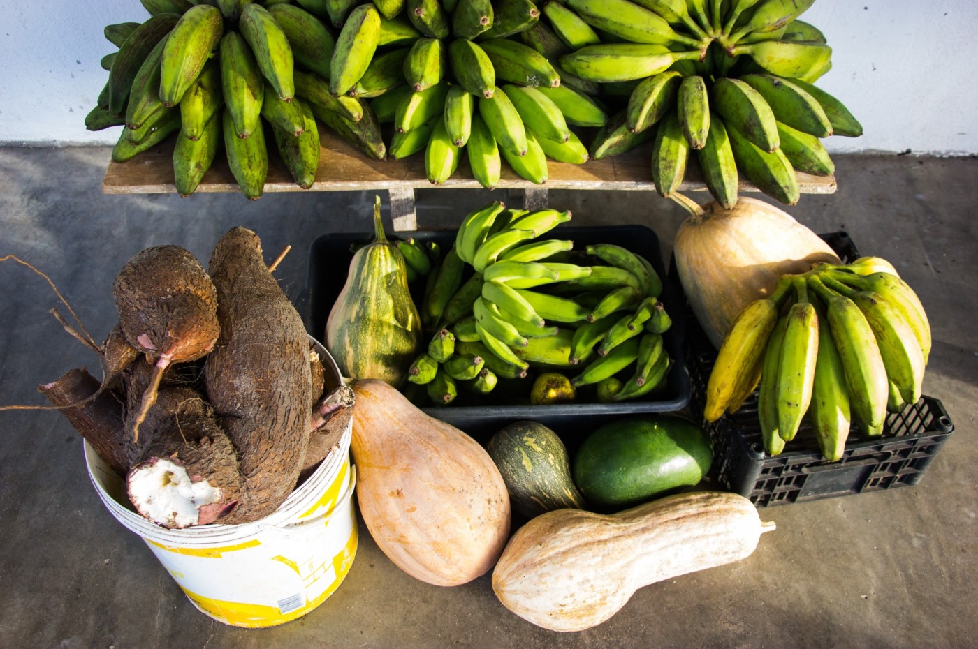 Rancho do Peixe, Jericoacoara